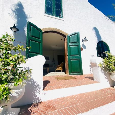 Hôtel Vineyard Retreat à Franschhoek Extérieur photo